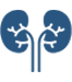 kidneys1